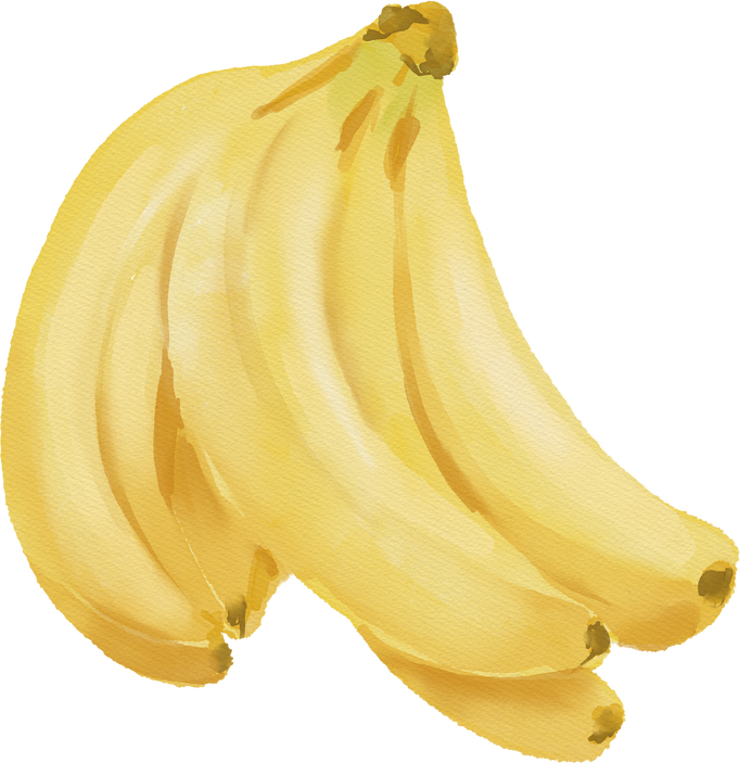 Watercolor food illustration of banana fruit